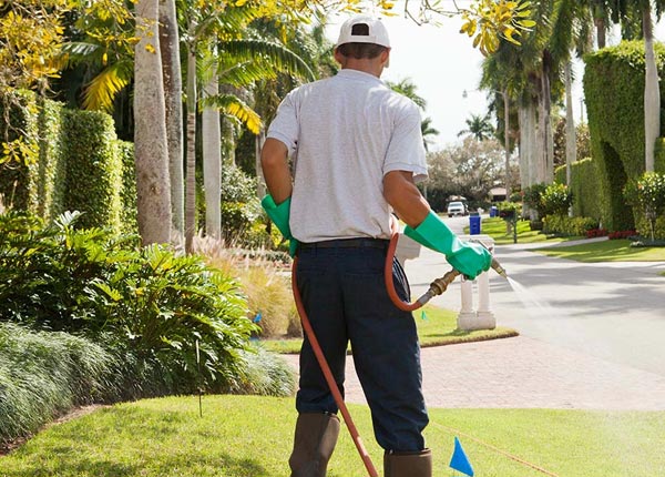 About Watauga TN Pest Control Pros